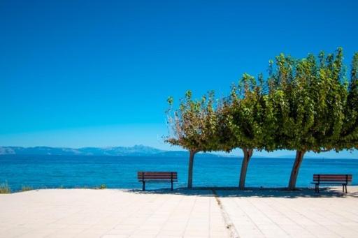 Lavish & Spacious Apt With Stunning Seaview, 10 Min Ath Airport Artemida  Exteriör bild